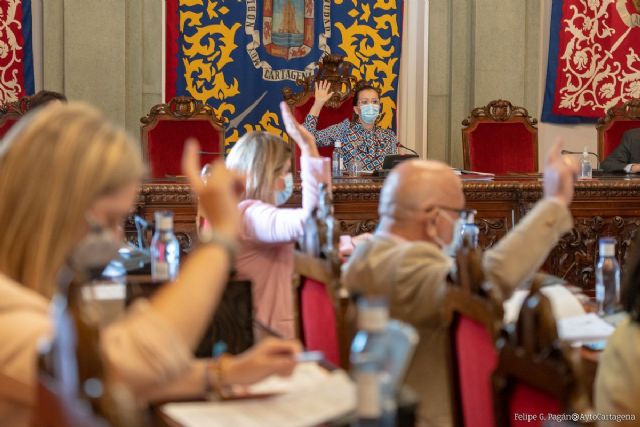 El Ayuntamiento estudiará la adecuada instalación de plantas fotovoltaicas con garantías para evitar el impacto medioambiental