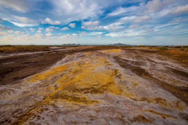 De la Sierra Minera... al Mar Menor