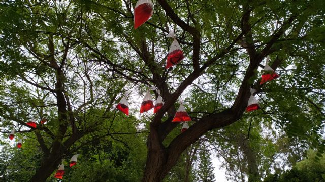Los Frutos del Progreso en el parque de Los Juncos