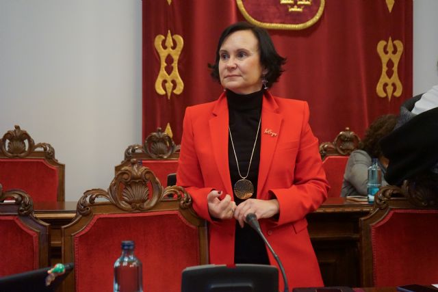 MC: La última Junta de Gobierno local de este año vuelve a poner de manifiesto la incompetente gestión de Arroyo