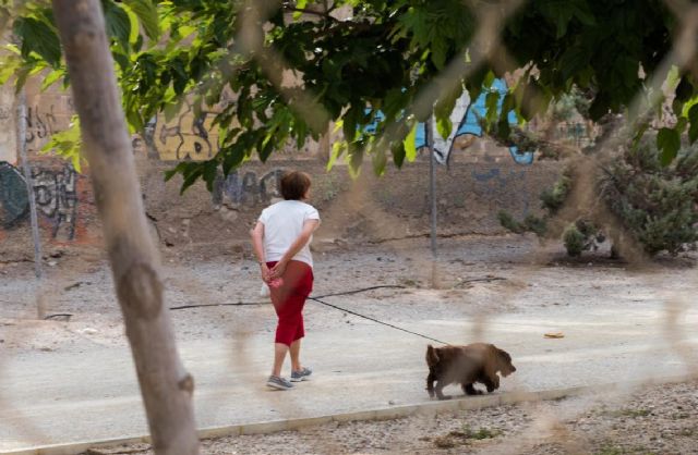 La Policía Local pone en marcha una nueva campaña de control de animales de compañía