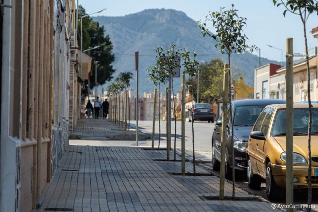 El Ayuntamiento planta nuevo arbolado en San José Obrero y podará 2.400 palmeras en Isla Plana y La Azohía