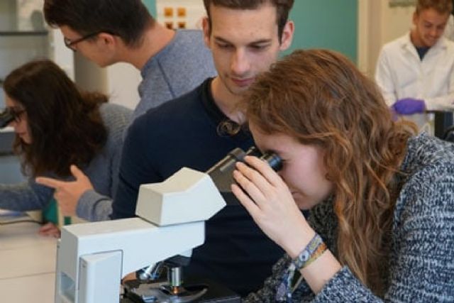 Doble titulación con una Universidad de Francia para los estudiantes de Ingeniería de Minas y Energía y los de Civil