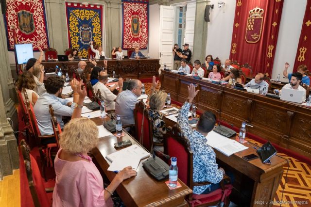 El Pleno insta al delegado del Gobierno a aceptar la ubicación definitiva del CATE propuesta por la Armada en la ladera noroeste de Galeras