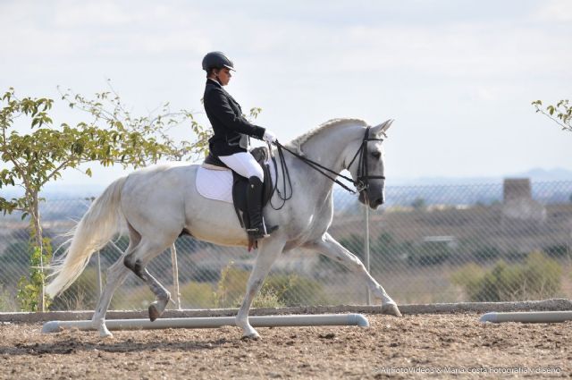 Los Puertos de Santa Bárbara fueron escenario de una competición hípica de Doma Clásica y Alta Escuela