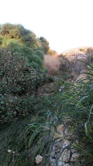 El Ayuntamiento limpia todos los cauces urbanos menos la rambla de Canteras
