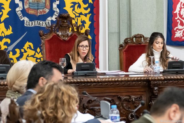 Pleno del Ayuntamiento apoya al sector náutico y pide facilitar el voto a los residentes europeos