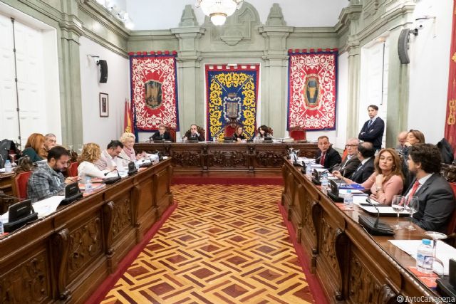 El pleno aprueba la celebración del Día Internacional del Estudiante