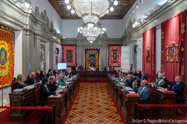 El pleno se muestra unánime en la lucha contra el acoso escolar