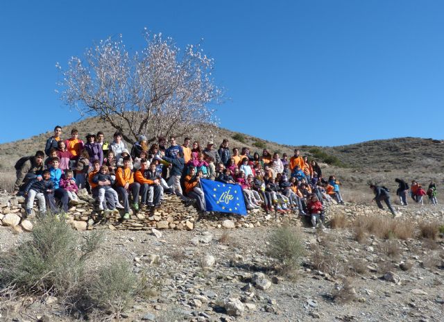 Un centenar de alumnos de Primaria y Secundaria plantan 50 garbancillos de Tallante para evitar su extinción
