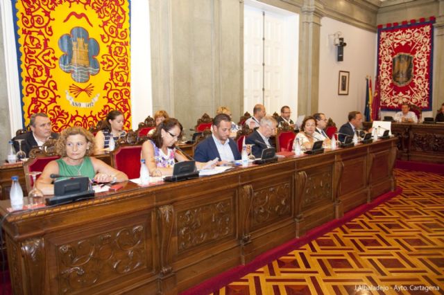 El pleno aprueba un moción socialista para crear más espacios verdes en La Vaguada