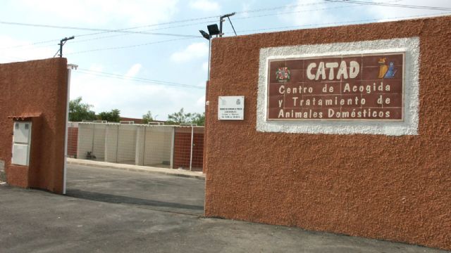 'El ayuntamiento de Cartagena incentiva el abandono de animales con su política de tasas'