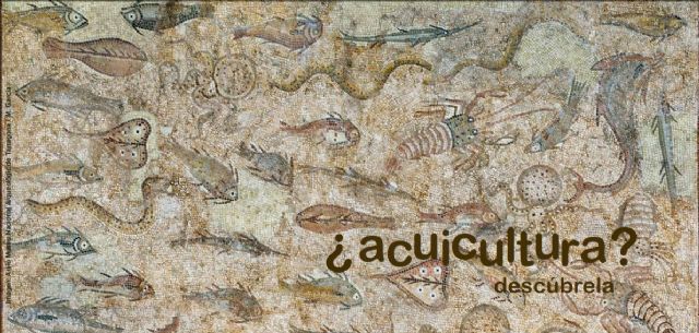 ¿Acuicultura? Descúbrela, en el Museo Nacional de Arqueología Subacuática (ARQUA)