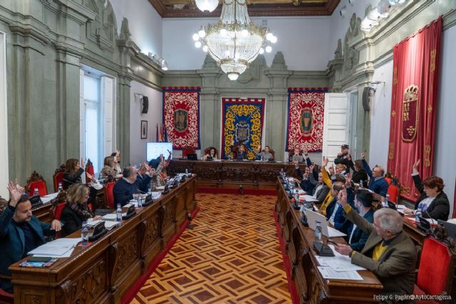 El pleno del Ayuntamiento de Cartagena manifiesta su solidaridad con los afectados por el terremoto de Turquía y Siria