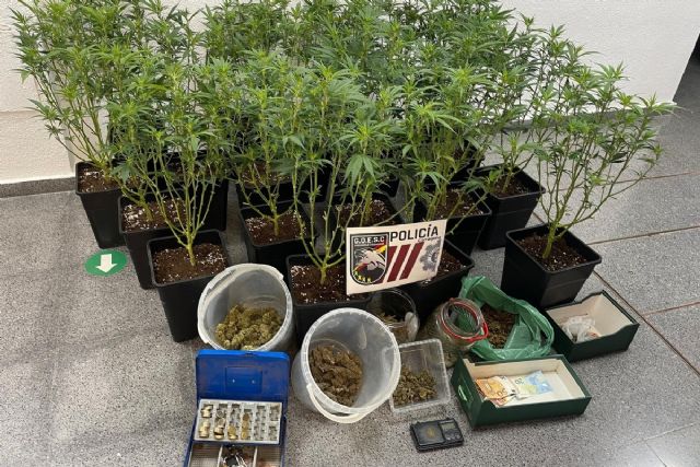 Policía Local de Cartagena halla 20 plantas de marihuana en un local de Barrio Peral