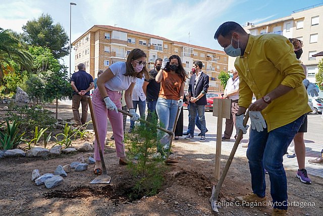 Cartagena se suma a la campaña europea ‘Un árbol por Europa’