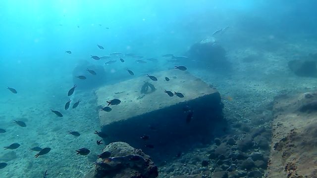 Una boya con cámara submarina emitirá en streaming durante ocho meses las imágenes de los fondos del Puerto de Cartagena