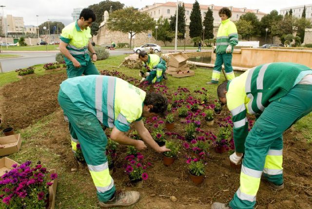 El Ayuntamiento ampliara a 40 dias el plazo de licitacion en el contrato de jardines