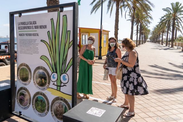 La exposición 'La Pandilla Salada, descubriendo el Mar Menor' llega a Mar de Cristal