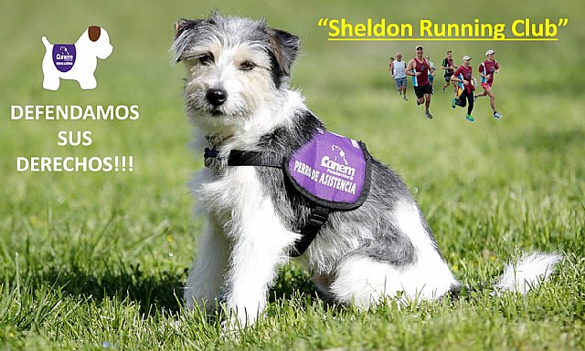 Nuevo Club de Atletismo “Sheldon Running Club”