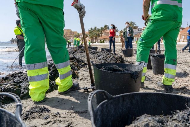 El Ayuntamiento agradece a la Comunidad el refuerzo de 30 operarios para la limpieza de las playas