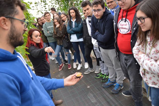 Un centenar de alumnos de Secundaria descubren cómo sabe el maracuyá hidropónico