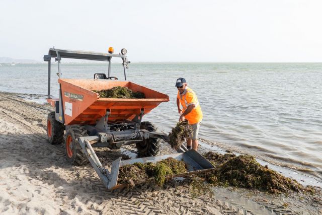 Se intensifican las labores de limpieza y mantenimiento de las playas cartageneras