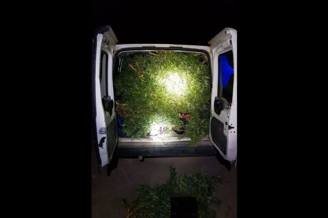 La Policía Local de Cartagena detiene a tres individuos tras asaltar una plantación terapéutica de marihuana en La Puebla